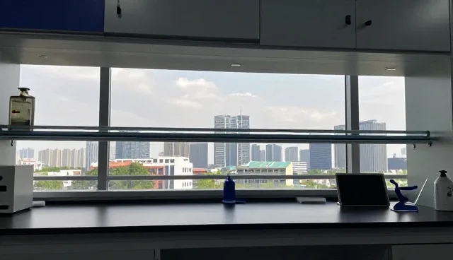信息同步效率低下,如何提升企业名录查询体验